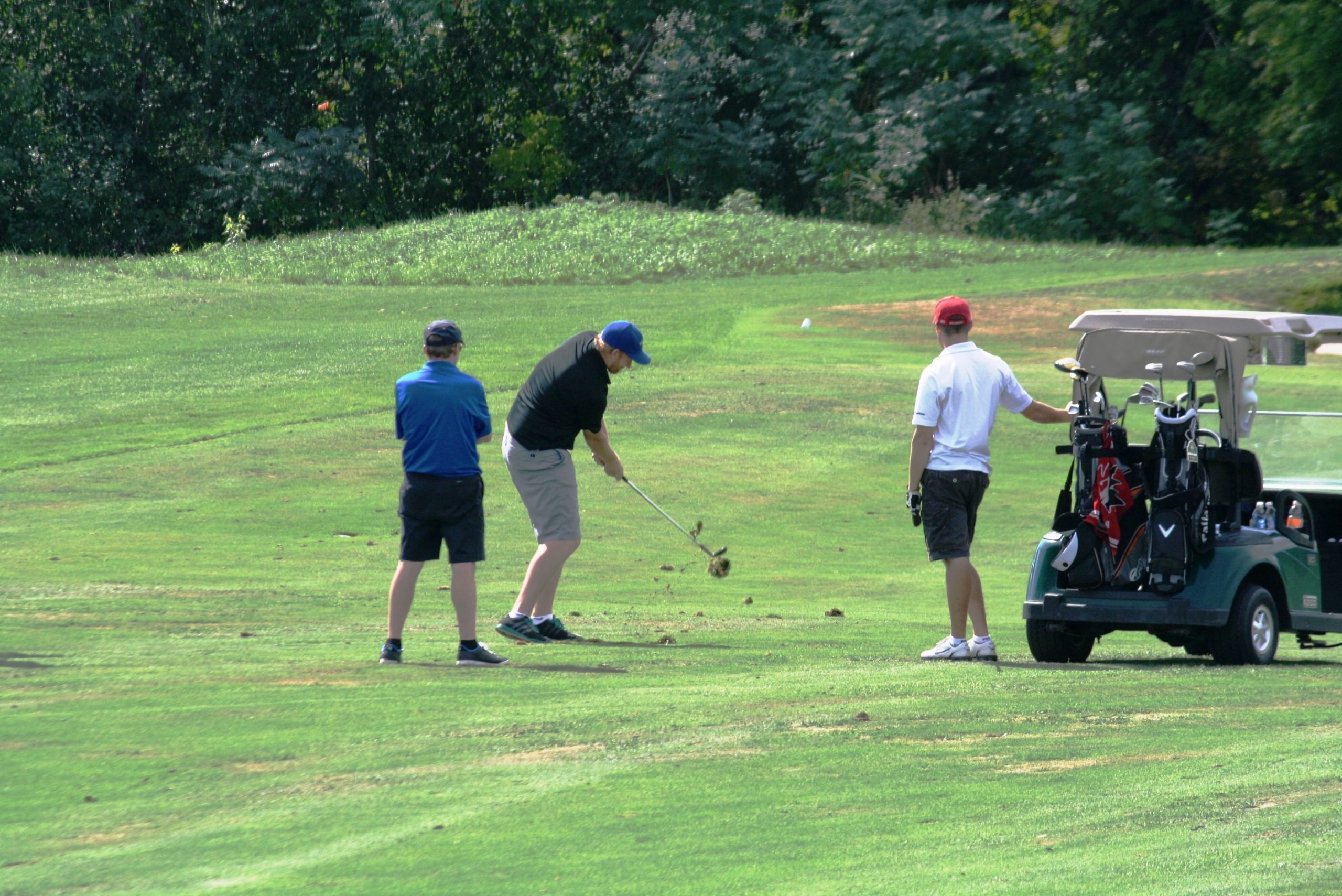 IMG_8349 IMG_8349