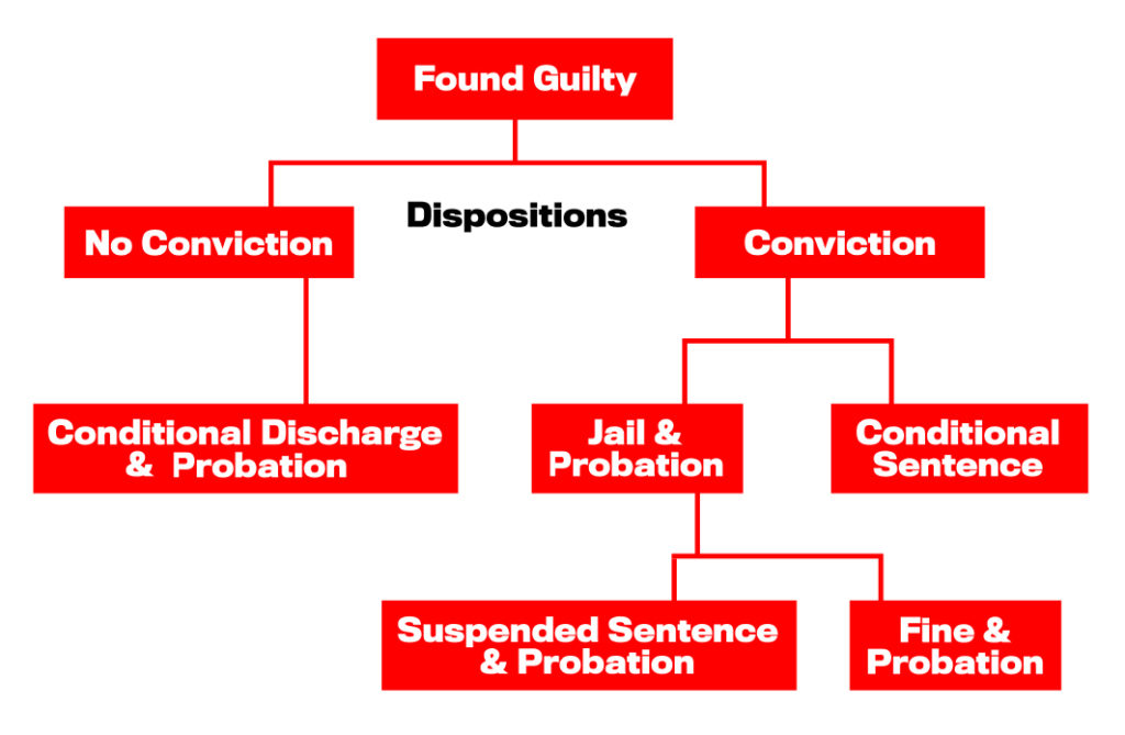 HOPE (Helping Offenders on Probation Excel) process flow chart, youth offenders programs